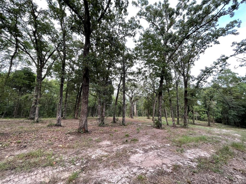 7840 Ranchette Road Eustace, TX 75124 - Photo 8 of 11 Gallery Image 8
