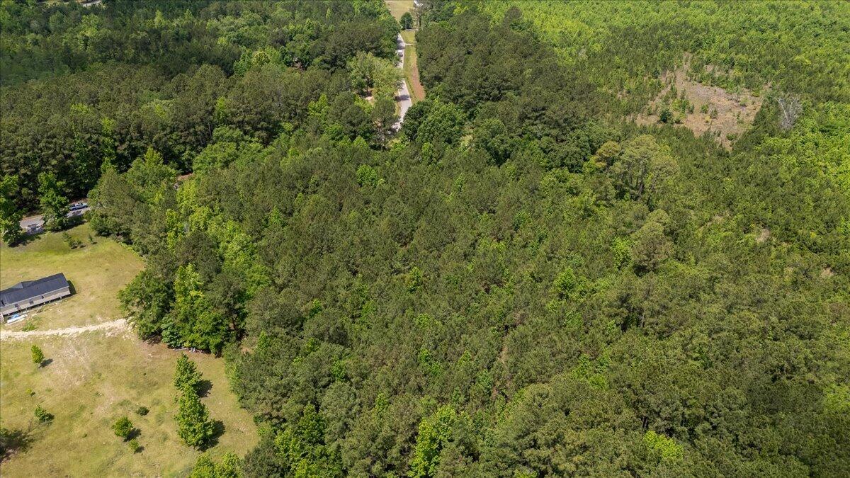 0 Deneaux Road Rowesville, SC 29133 - Photo 33 of 43 33-Deneaux-26