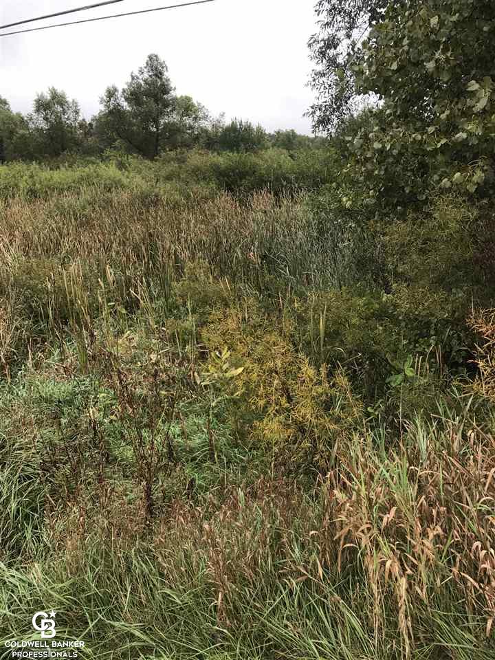 0 South Brockway Road Yale, MI 48097 - Photo 4 of 6
