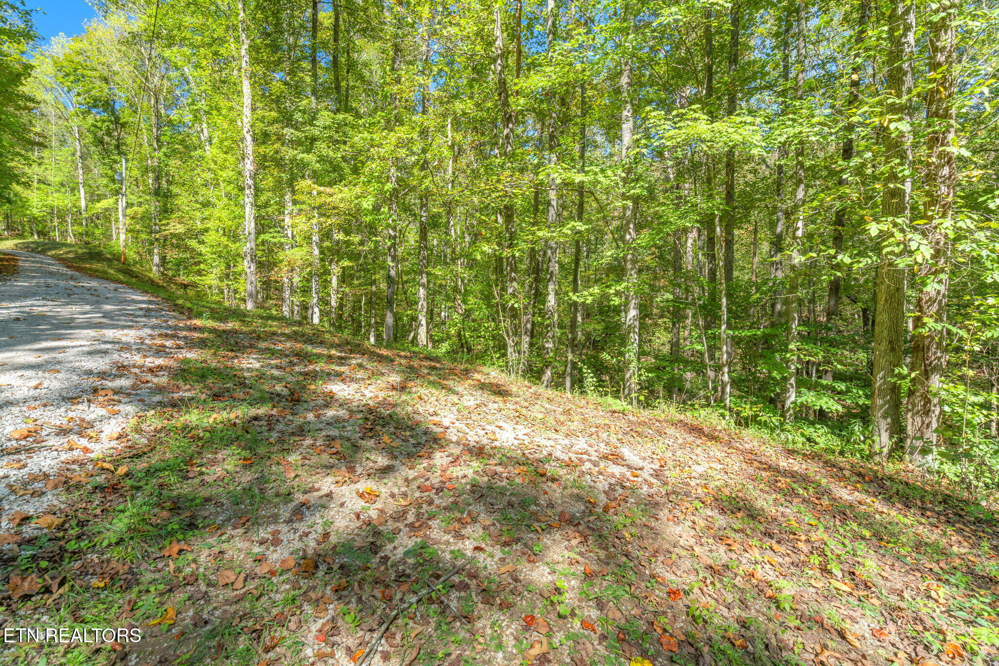 Tunnel Hill Road Harriman, TN 37748 - Photo 10 of 23 7-web-or-mls-Tunnel Hill Road-8