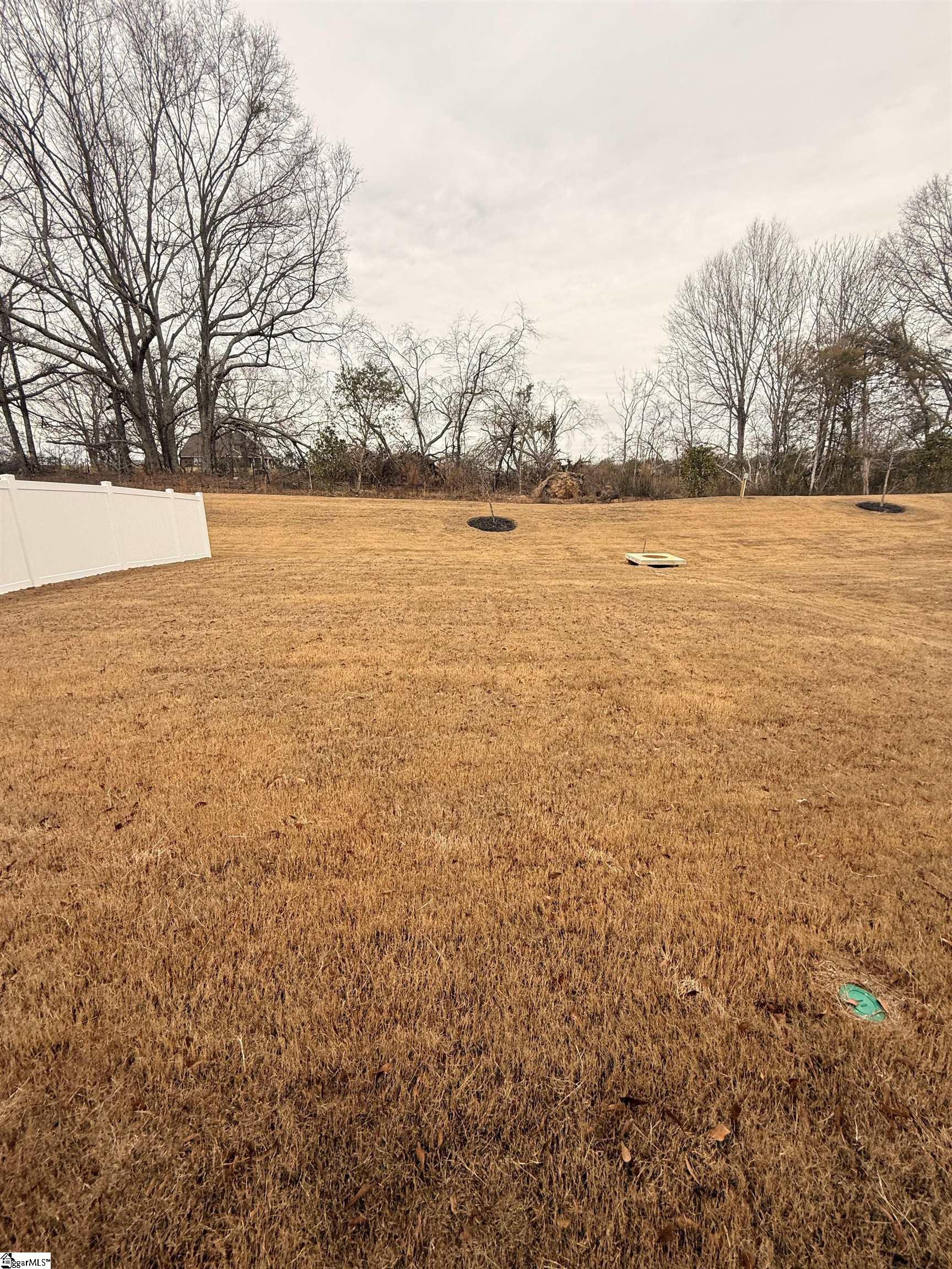 20 Gressette Place Simpsonville, SC 29681 - Photo 15 of 27