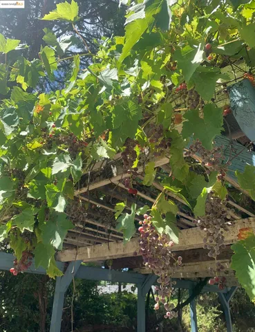 a view of a porch with wooden floor