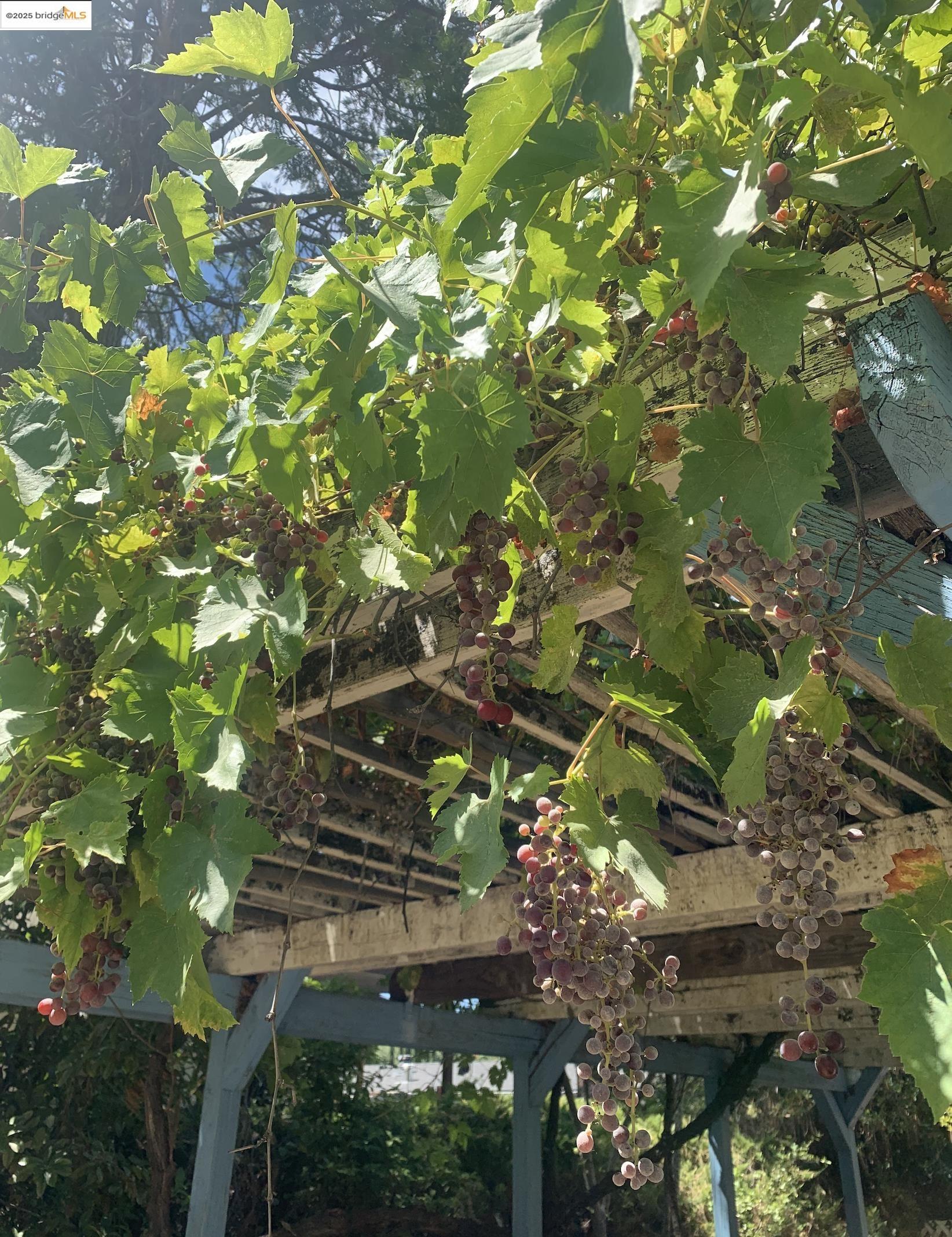 18717 Mill Villa Road, Unit 156 Jamestown, CA 95327 - Photo 33 of 40 Exterior view