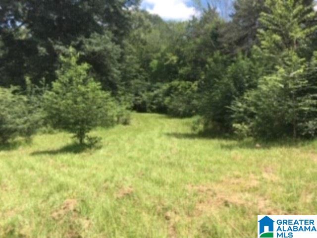 0 Hackney Street, Unit 8 29 ACRES Lincoln, AL 35096 - Photo 13 of 18