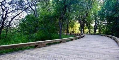 a view of a green field