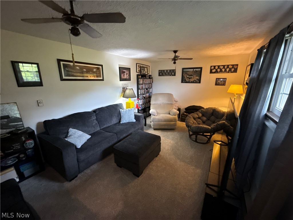 191 Ridgeland Drive Toronto, OH 43964 - Photo 10 of 21