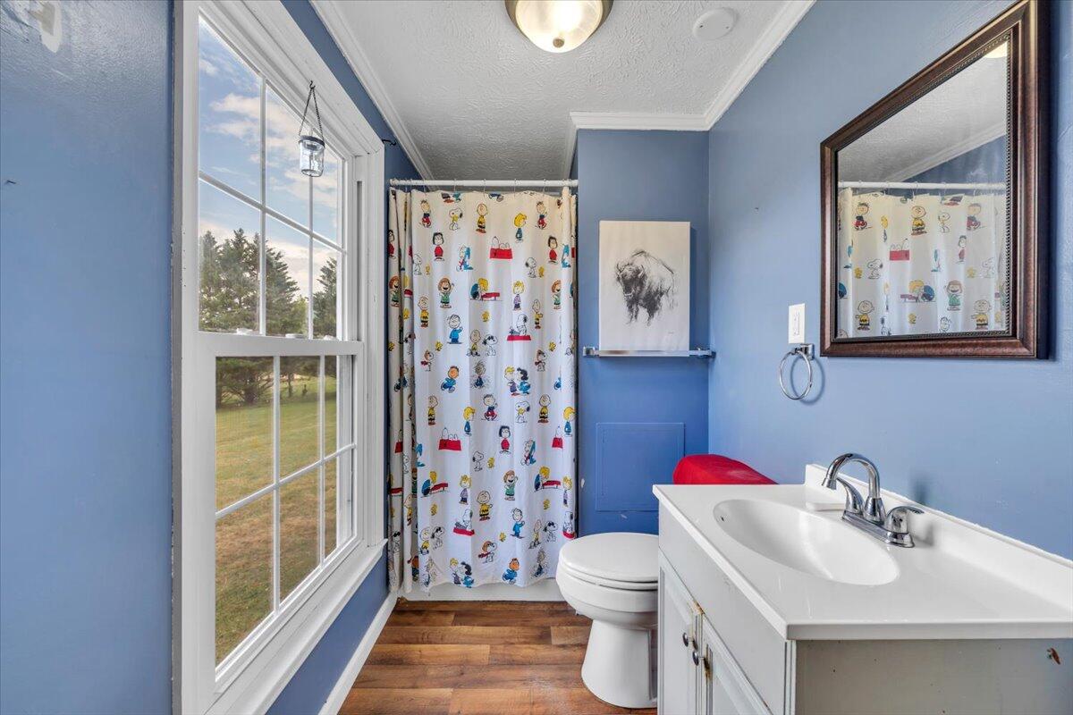 811 Ball Park Road Eagle Rock, VA 24085 - Photo 20 of 51 21-MIB05113