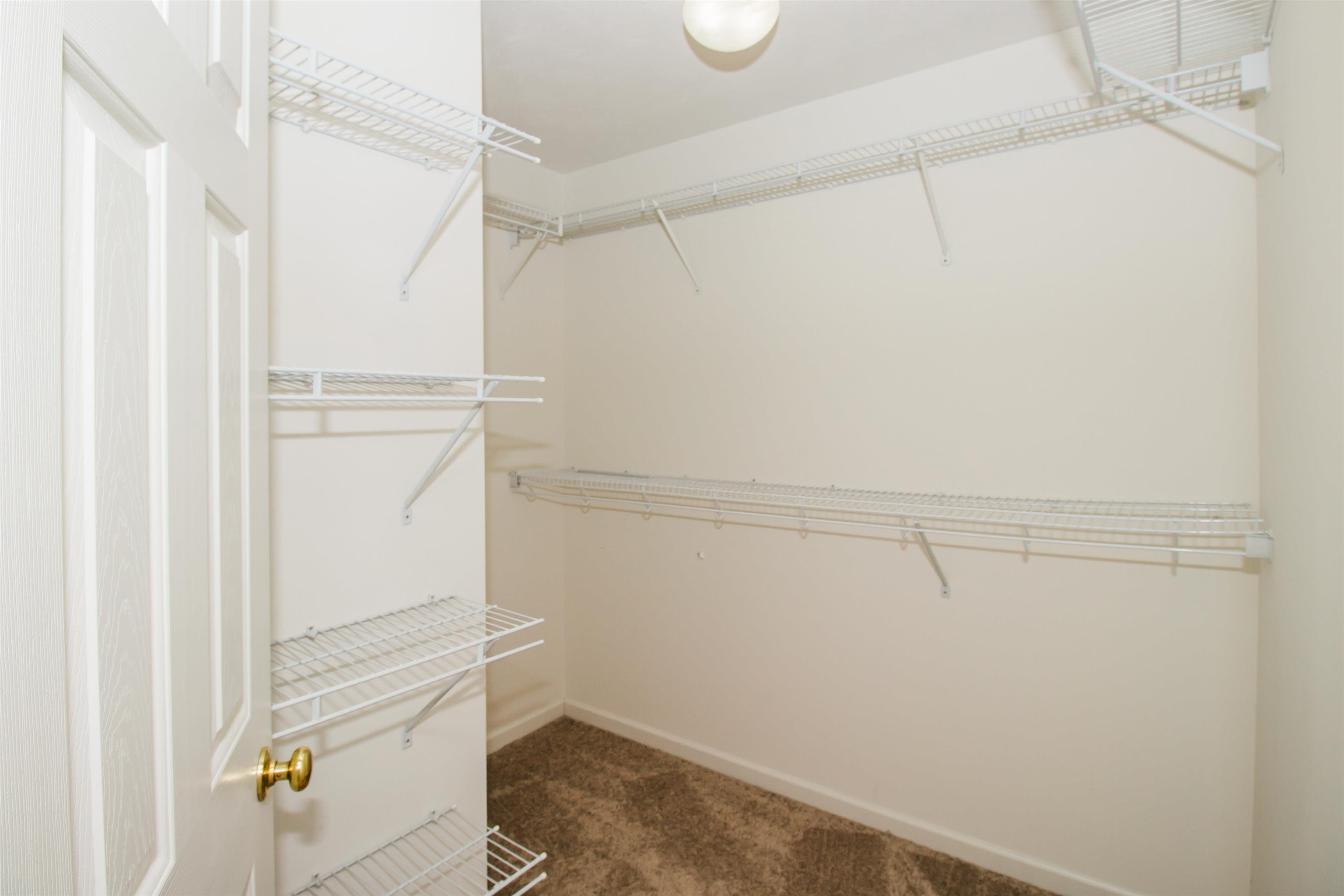 2960 Crystal Spring Lane Harrisonburg, VA 22801 - Photo 18 of 30 a view of walk in closet