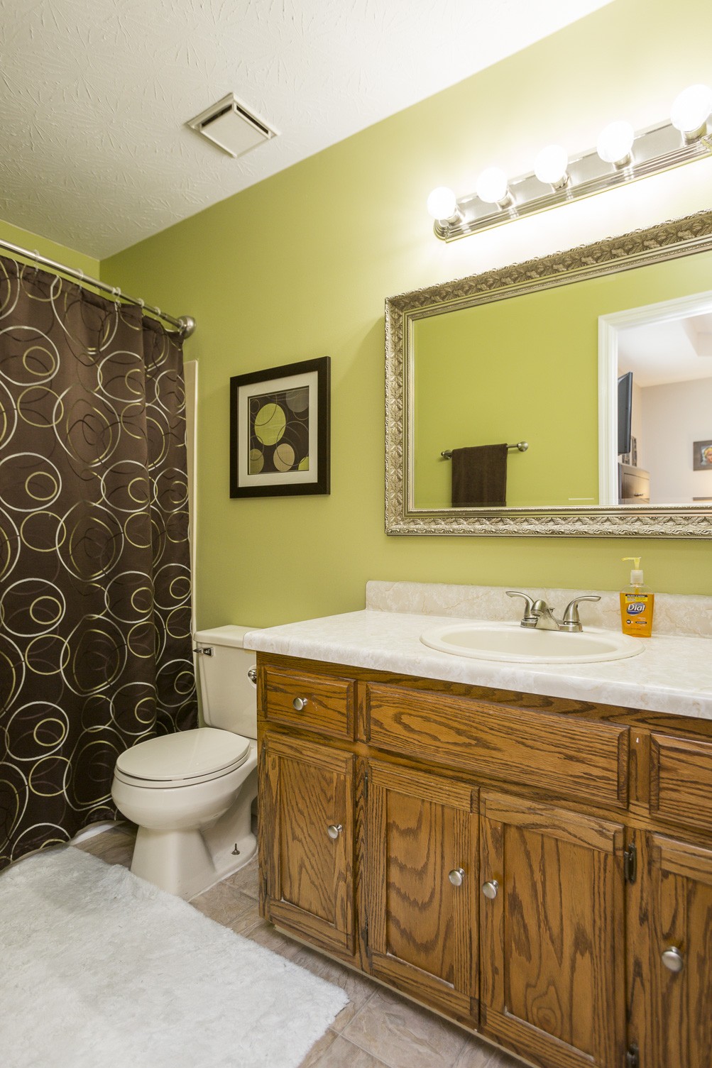 6045 Ebenezer Road Greenbrier, TN 37073 - Photo 19 of 30 a bathroom with a sink a toilet and mirror