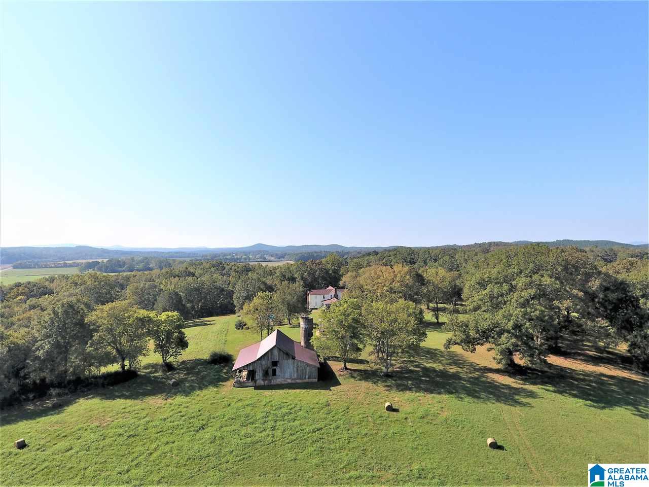 3086 McElderry Road North Munford, AL 36268 - Photo 10 of 44