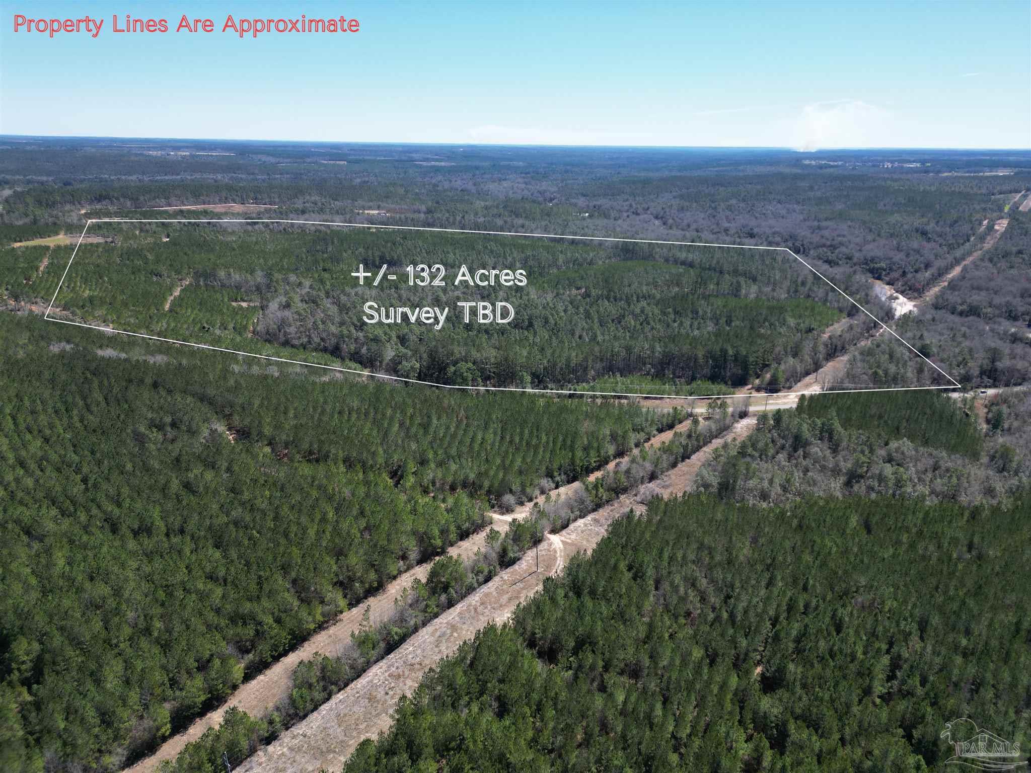 0 Robinsonville Road Atmore, AL 36502 - Photo 3 of 25 a view of a city with lush green forest