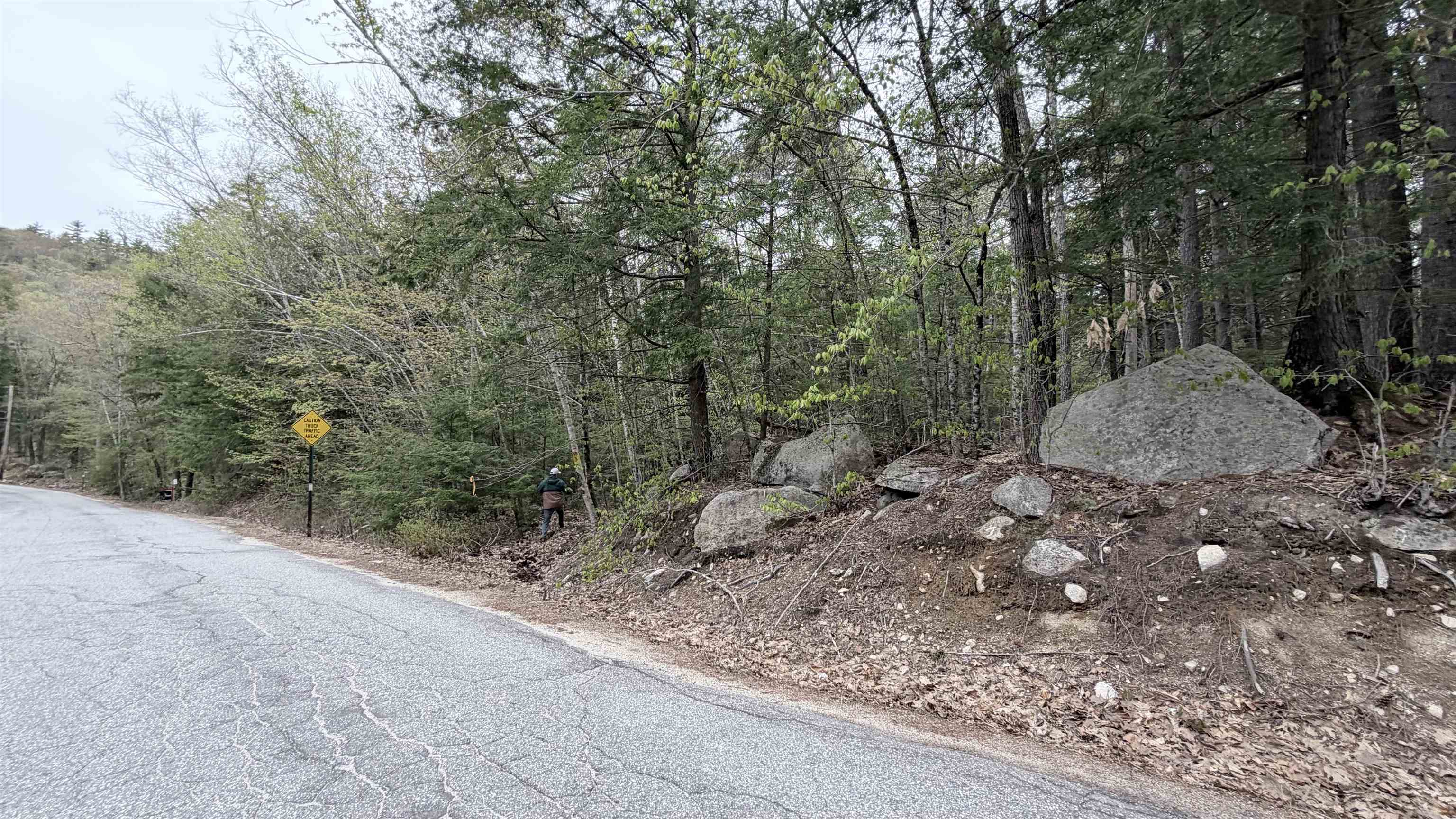101-15 North Shore Road New Durham, NH 03855 - Photo 10 of 14