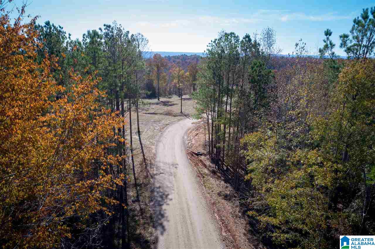 5721 South Shades Crest Road, Unit 1 Helena, AL 35022 - Photo 1 of 9