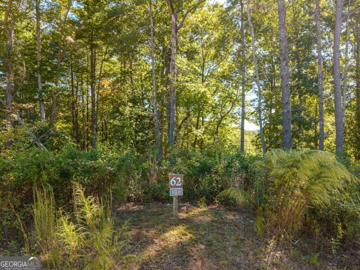 Lot 62 Ridge Drive, Unit 62 Morganton, GA 30560 - Photo 2 of 17 Gallery Image 2