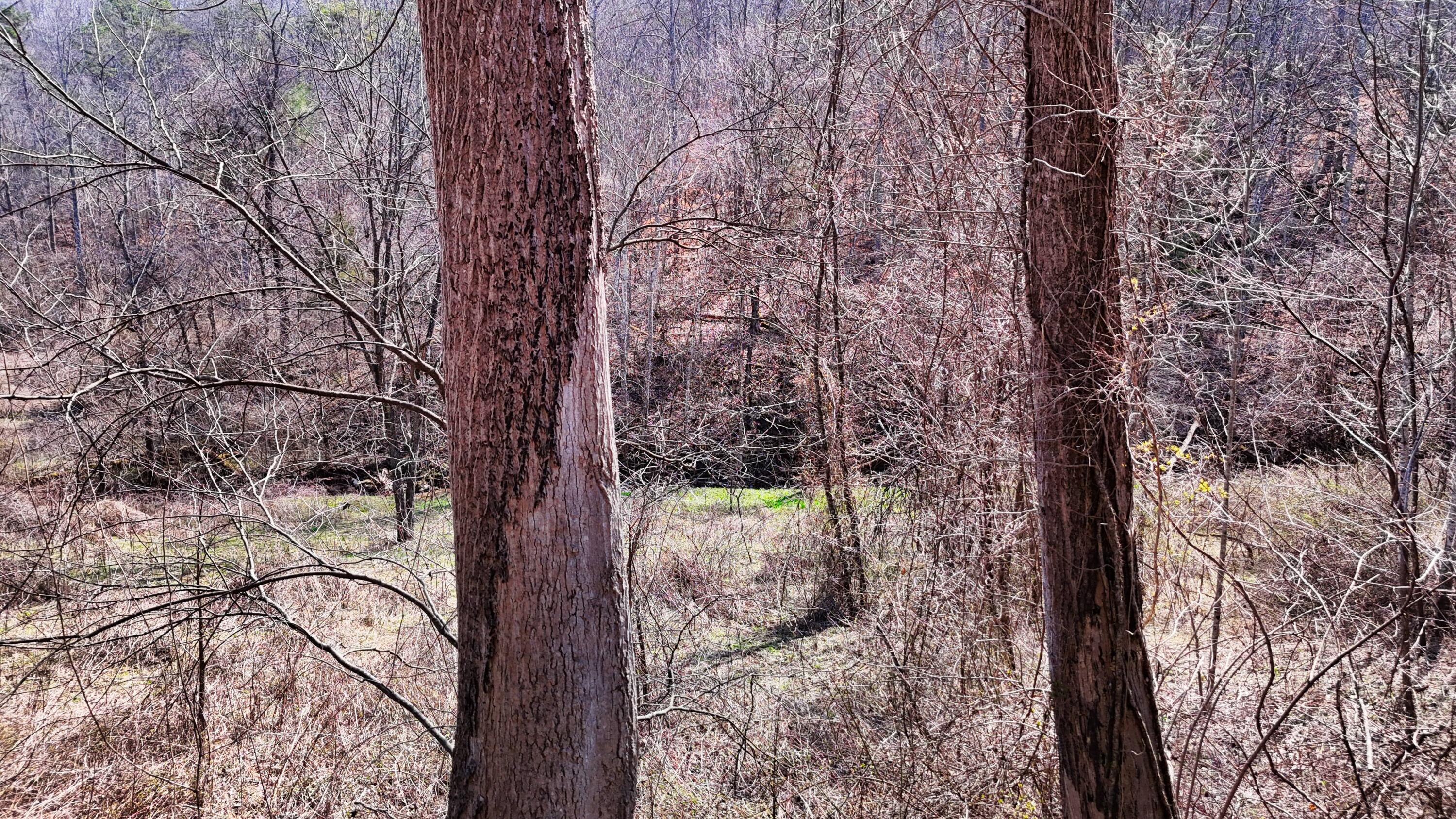 0 Sand Springs Road McKee, KY 40447 - Photo 55 of 58 DJI_20250318131743_0093_D