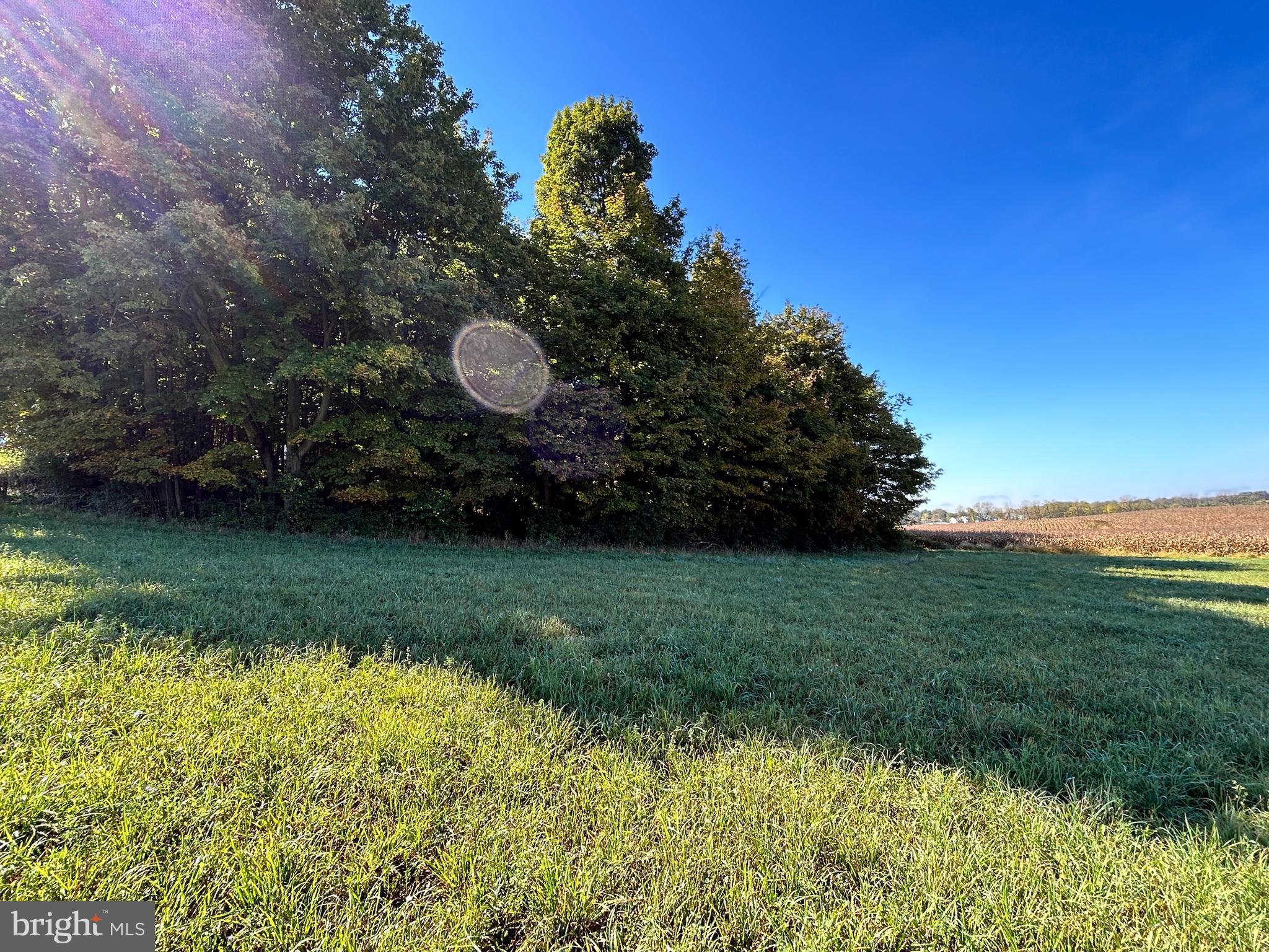 Lot #6 Linden Hall Road Boalsburg, PA 16827 - Photo 21 of 26 a view of a garden with a lake