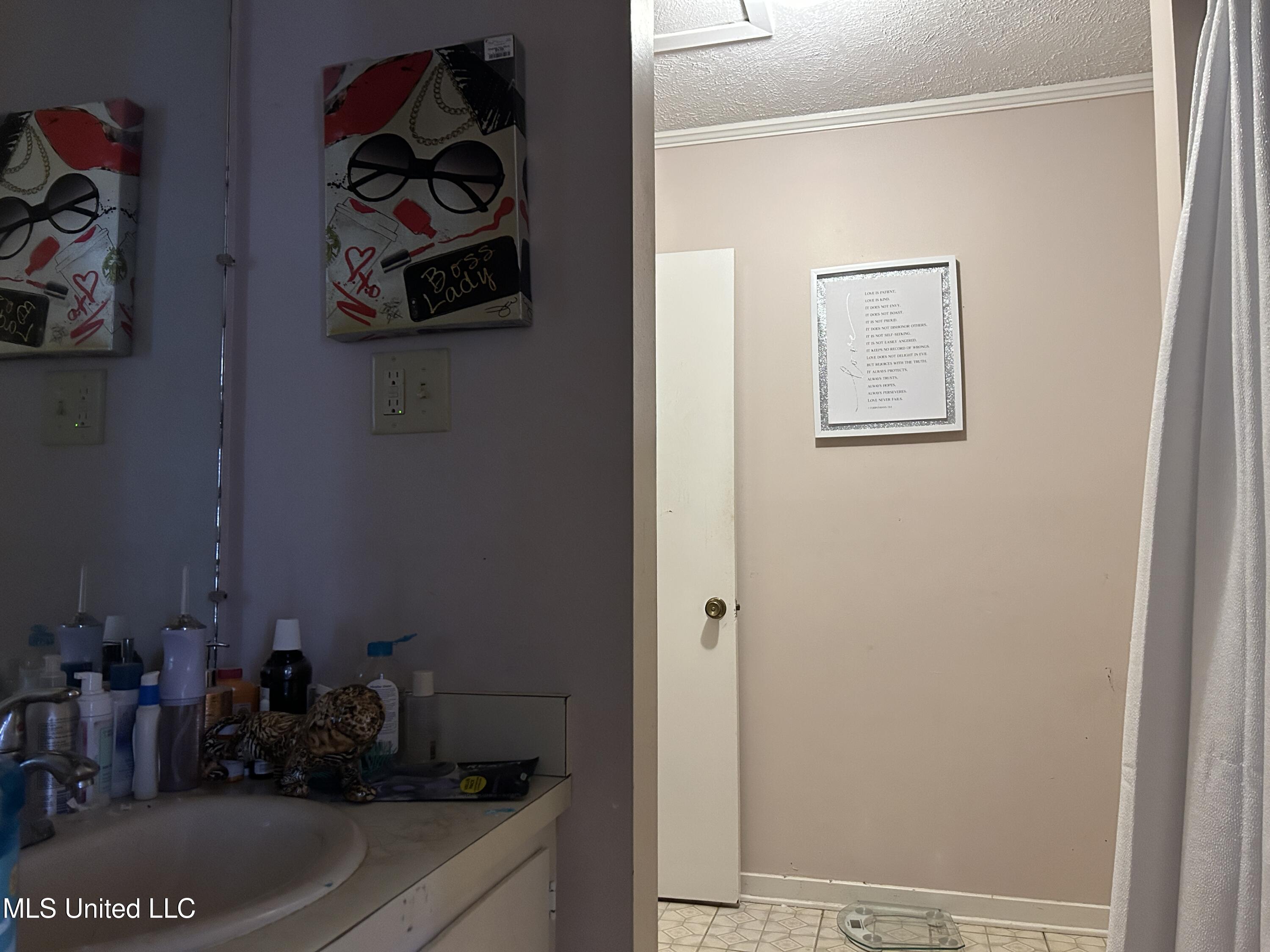 4223 Will-O-Wood Boulevard Jackson, MS 39212 - Photo 14 of 20 IMG_7154