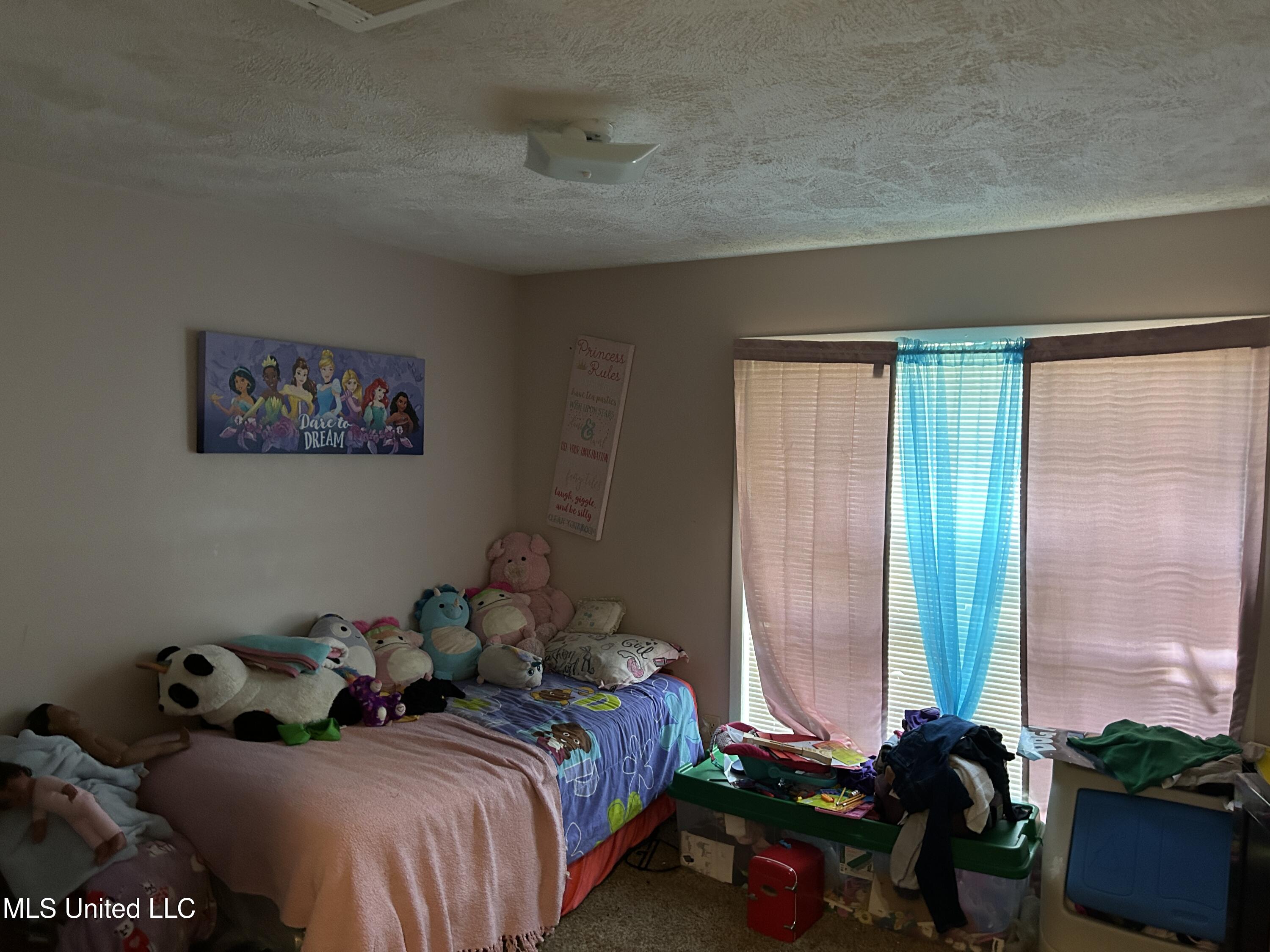 4223 Will-O-Wood Boulevard Jackson, MS 39212 - Photo 5 of 20 IMG_7145