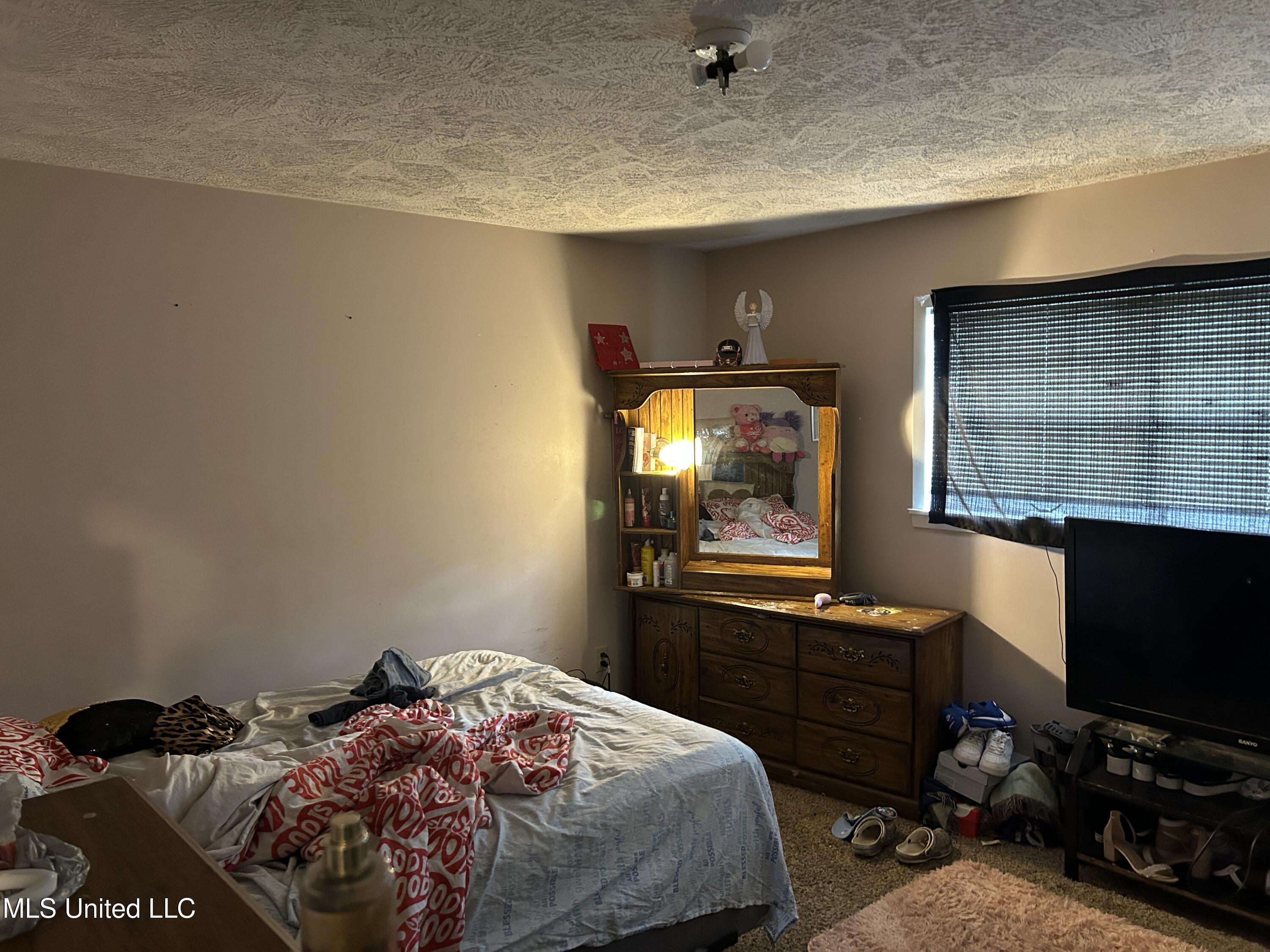 4223 Will-O-Wood Boulevard Jackson, MS 39212 - Photo 7 of 20 IMG_7147