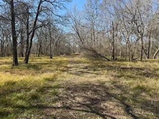 $175,000 | 14860 Laguna Vista Drive, Needville, TX 77461