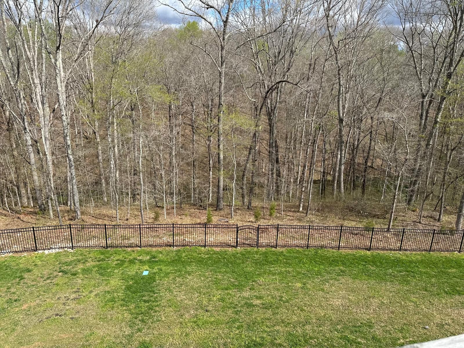 7152 Triple Crown Lane Fairview, TN 37062 - Photo 3 of 10 a view of outdoor space with yard