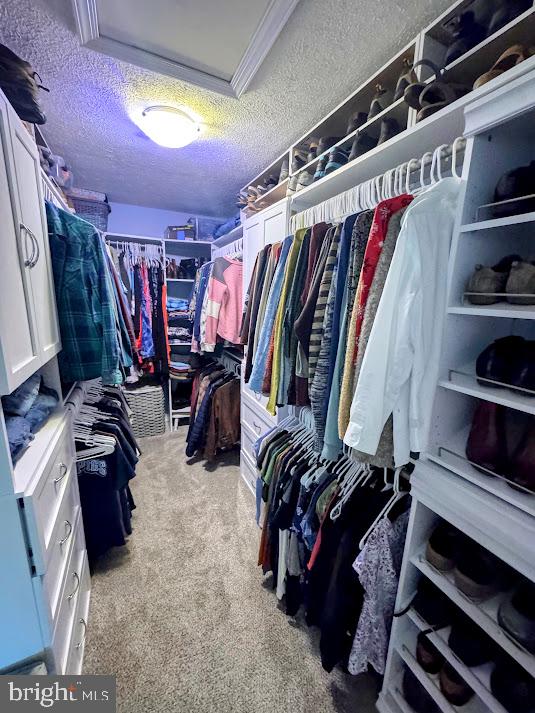 1 Point Of Wds Hazleton, PA 18202 - Photo 31 of 88 LARGE WALK-IN-CLOSET W/ CALIFORNIA CLOSET SYSTEM