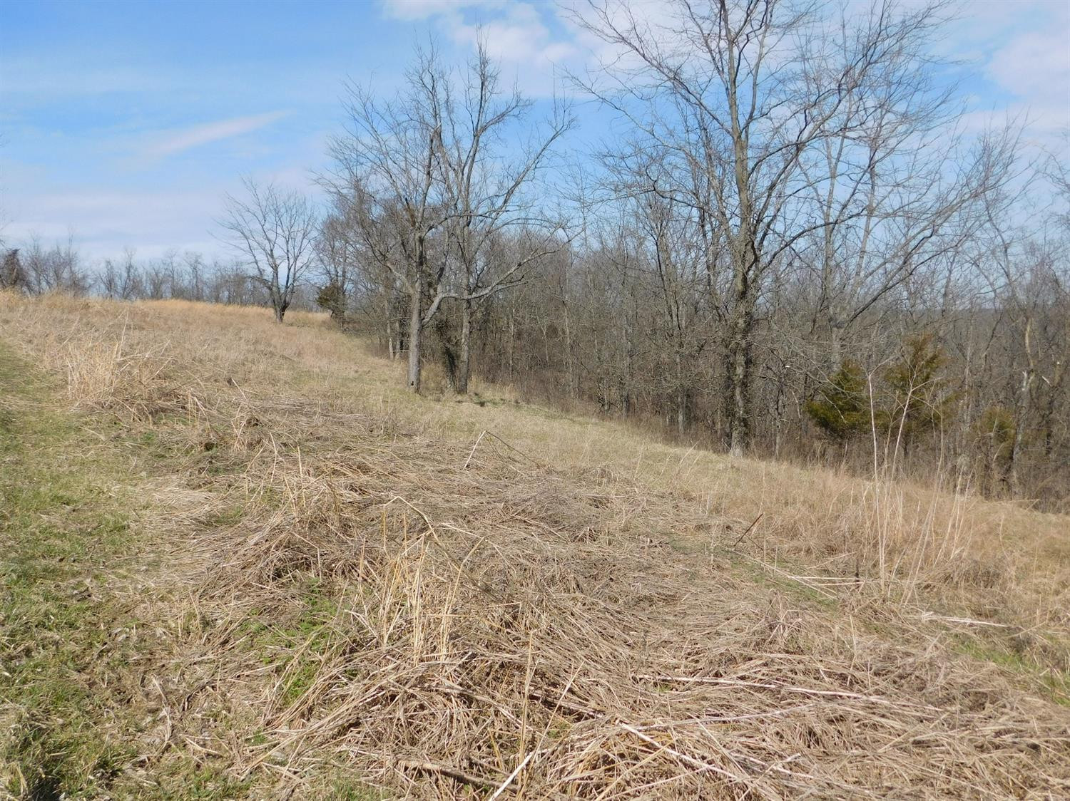 4 Junction Pike Berry, KY 41003 - Photo 5 of 10 Listing Photo