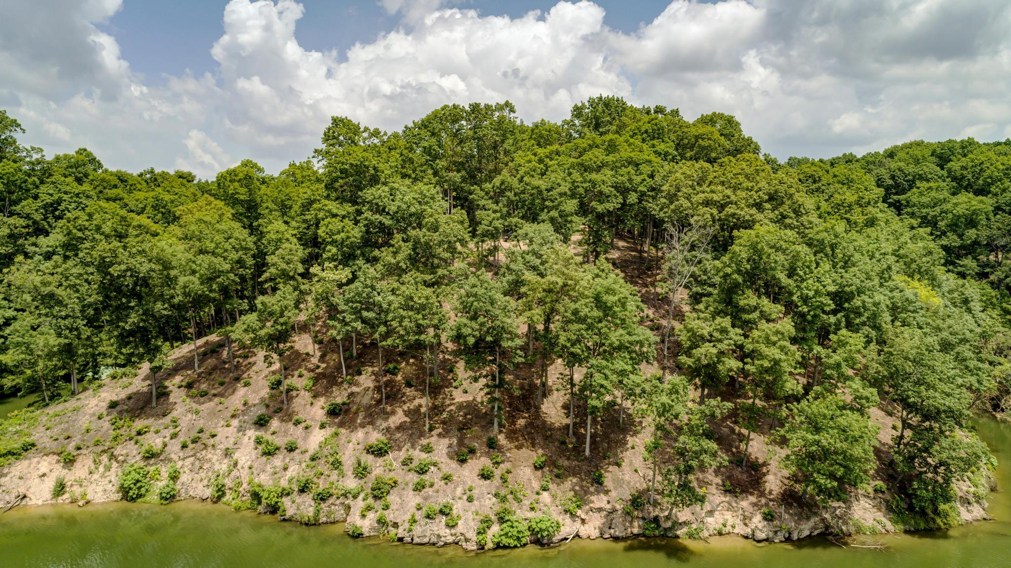 Lot 5 Turkey Ridge Lane, Unit 5 Piney Flats, TN 37686 - Photo 29 of 42 F2B438C9-C553-40A1-8483-9593AFA46F72