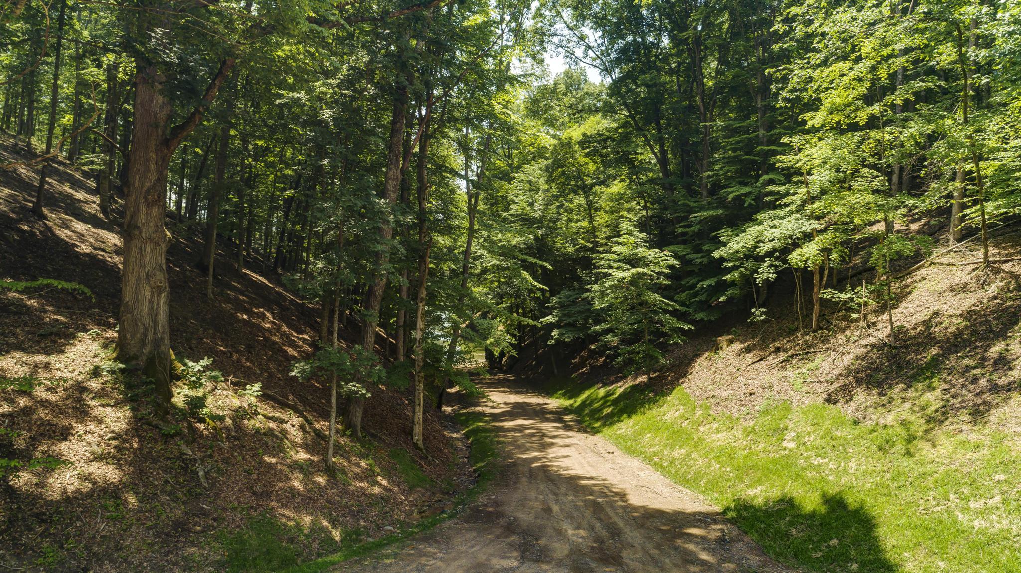 Lot 5 Turkey Ridge Lane, Unit 5 Piney Flats, TN 37686 - Photo 31 of 42 4749C531-28D3-48C5-870C-A9787DA01D2E