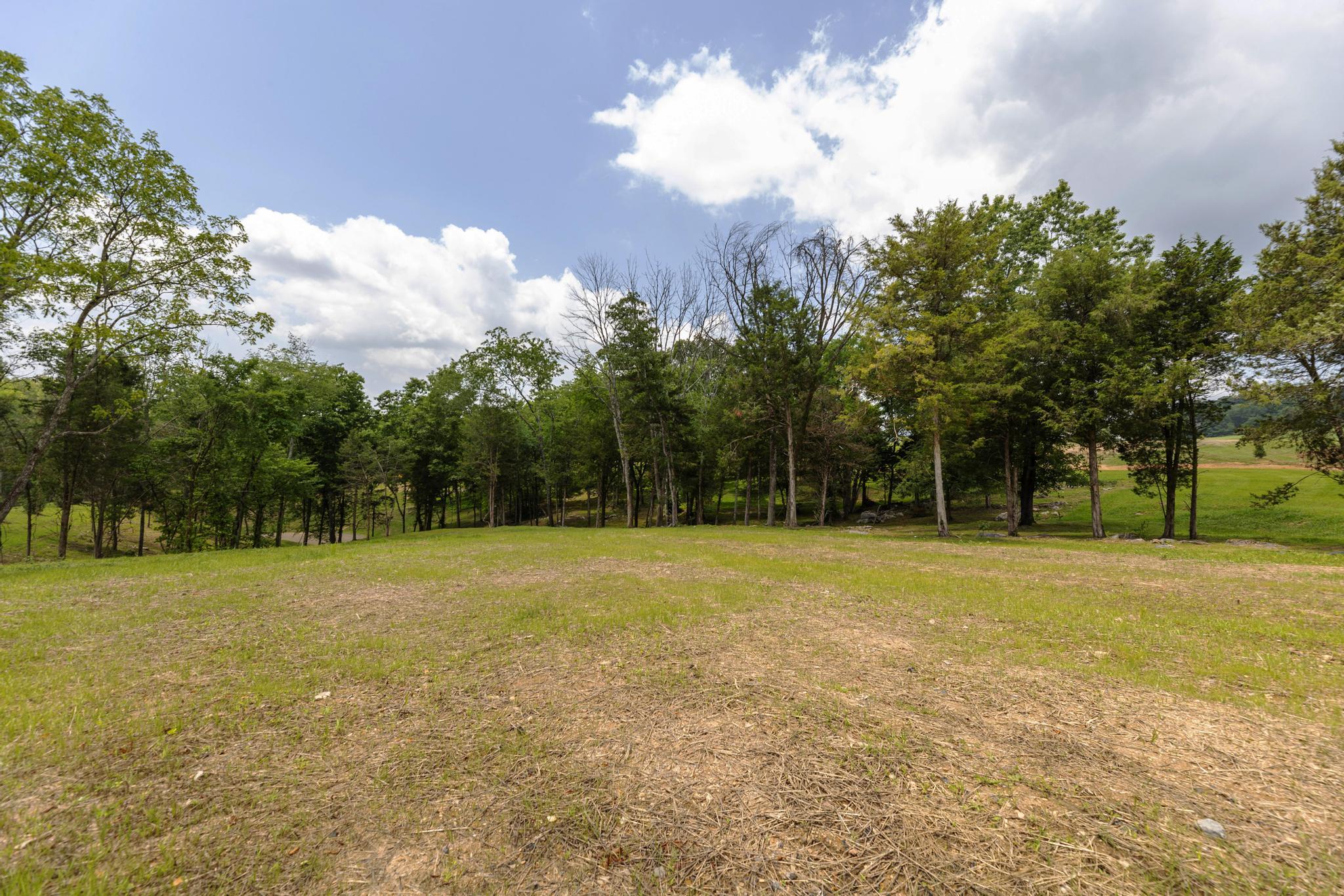 Lot 5 Turkey Ridge Lane, Unit 5 Piney Flats, TN 37686 - Photo 41 of 42 02336C66-4D2D-4726-8573-A8238640D006