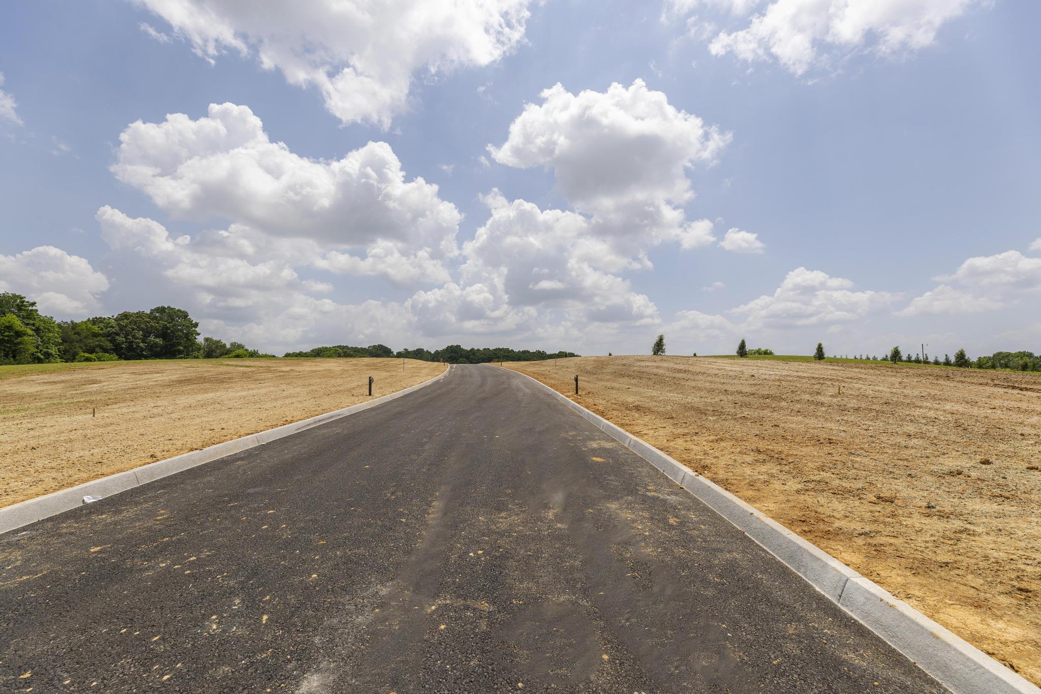 Lot 5 Turkey Ridge Lane, Unit 5 Piney Flats, TN 37686 - Photo 42 of 42 15DE82B1-5178-49D2-837D-B965FC4E2040