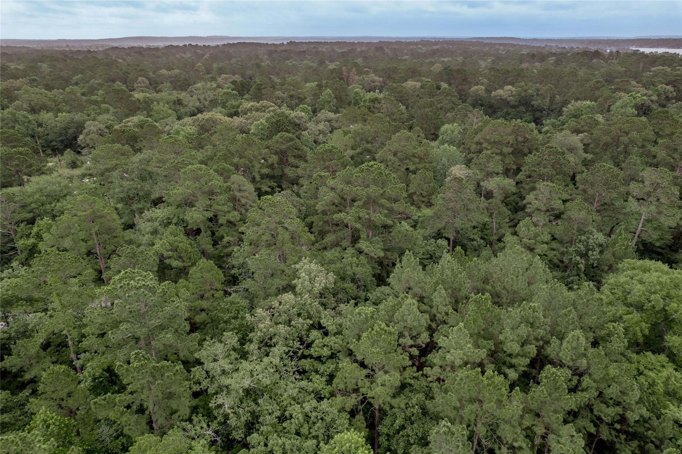 Lot 07 Oak Drive Trinity, TX 75862 - Photo 32 of 36