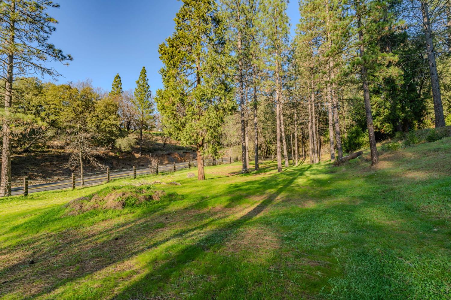 17630 Ridge Road Pine Grove, CA 95665 - Photo 60 of 80 Gallery Image 60