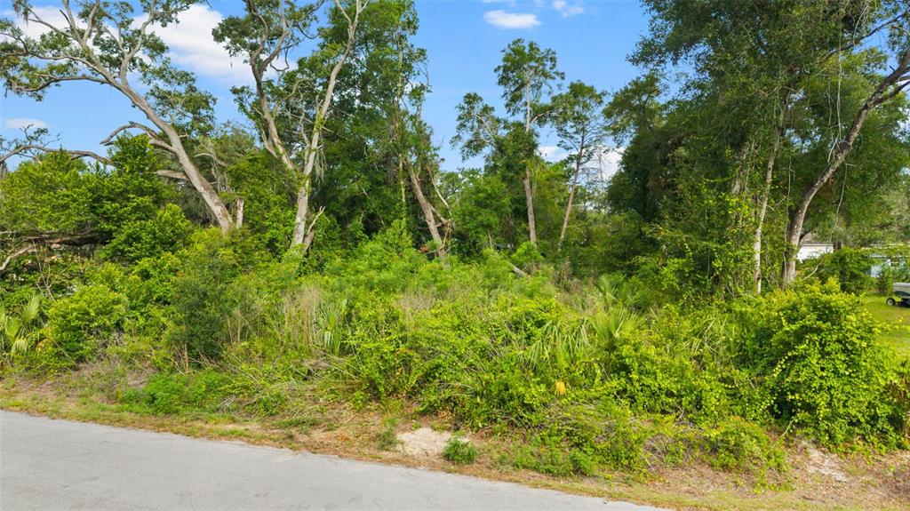 15177 Spokane Road Spring Hill, FL 34610 - Photo 15 of 17