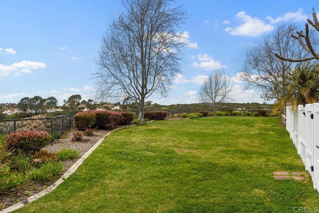1570 Pacific Ranch Drive Encinitas, CA 92024 - Photo 31 of 35 a backyard of a house with lots of green space