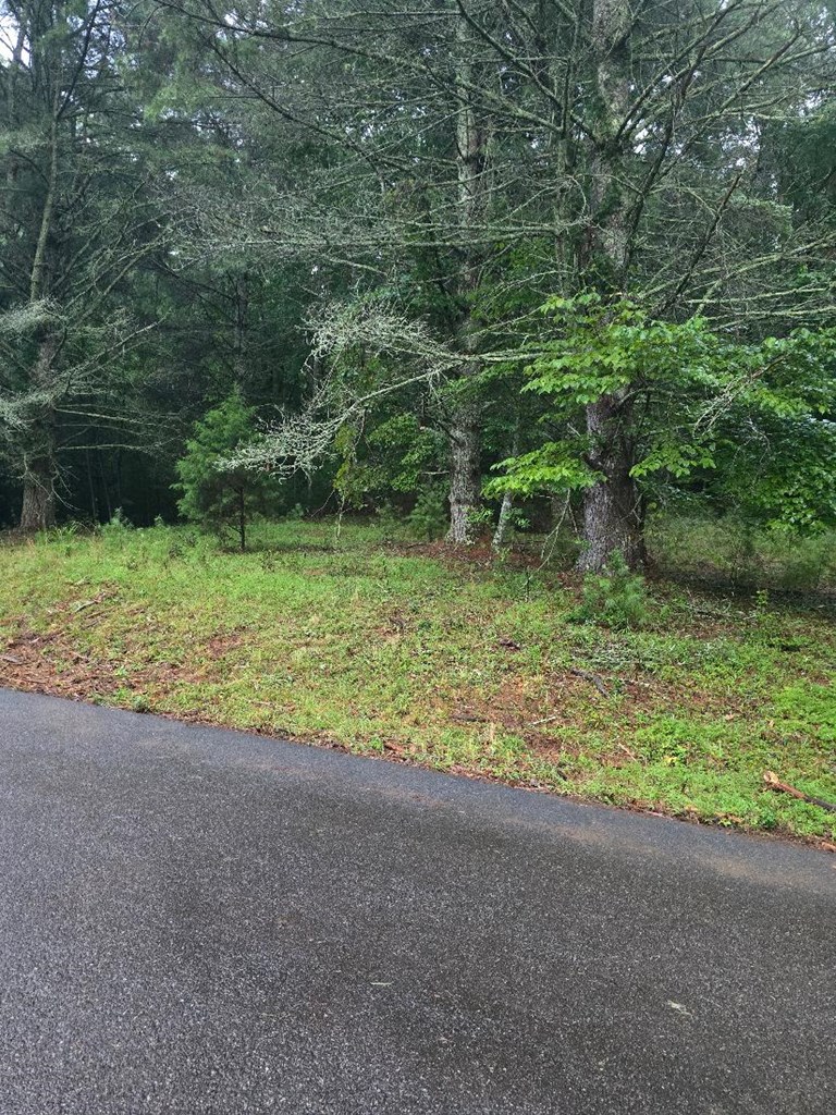 Lot B Lot B & W Ranch Road Blairsville, GA 30512 - Photo 2 of 2 Gallery Image 2