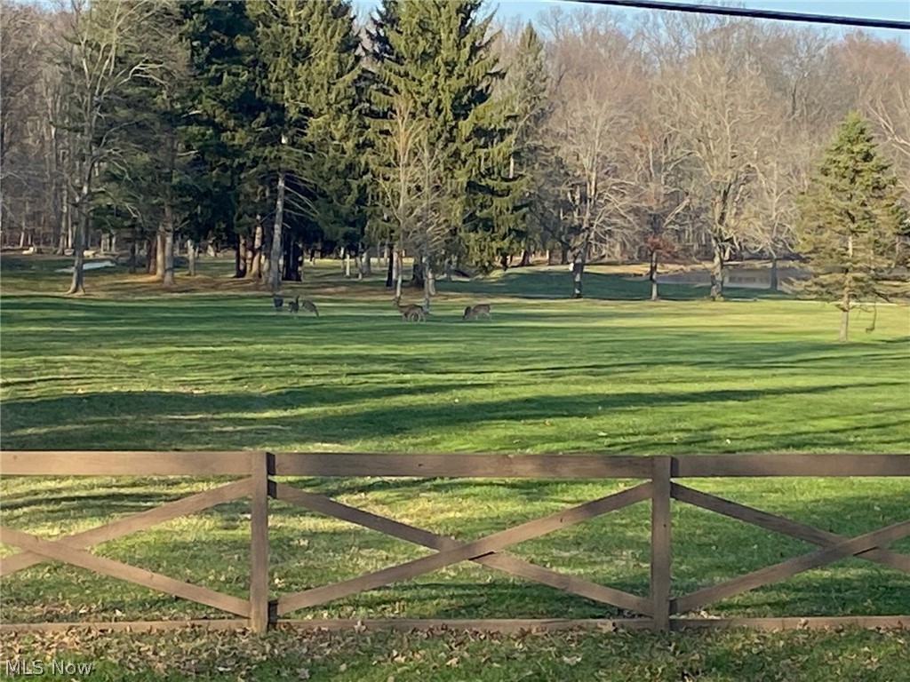 184 Ridgewood Road Wadsworth, OH 44281 - Photo 23 of 28 view directly across the street of gorgeous horse farm which is always full of deer.