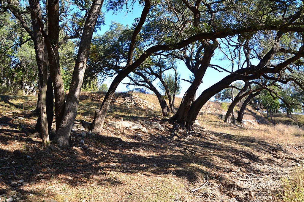 16 Bandera Tx 78003 Bandera, TX 78003 - Photo 11 of 20