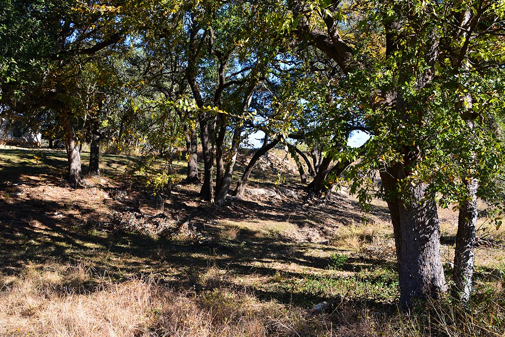 16 Bandera Tx 78003 Bandera, TX 78003 - Photo 12 of 20