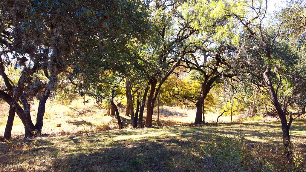 16 Bandera Tx 78003 Bandera, TX 78003 - Photo 14 of 20