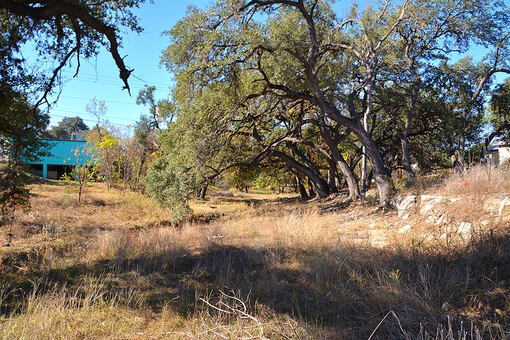 16 Bandera Tx 78003 Bandera, TX 78003 - Photo 9 of 20