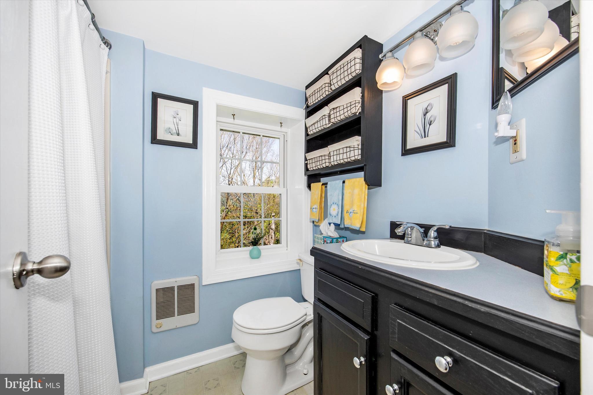 3204 Bidle Road Middletown, MD 21769 - Photo 15 of 23 a bathroom with a sink and a toilet