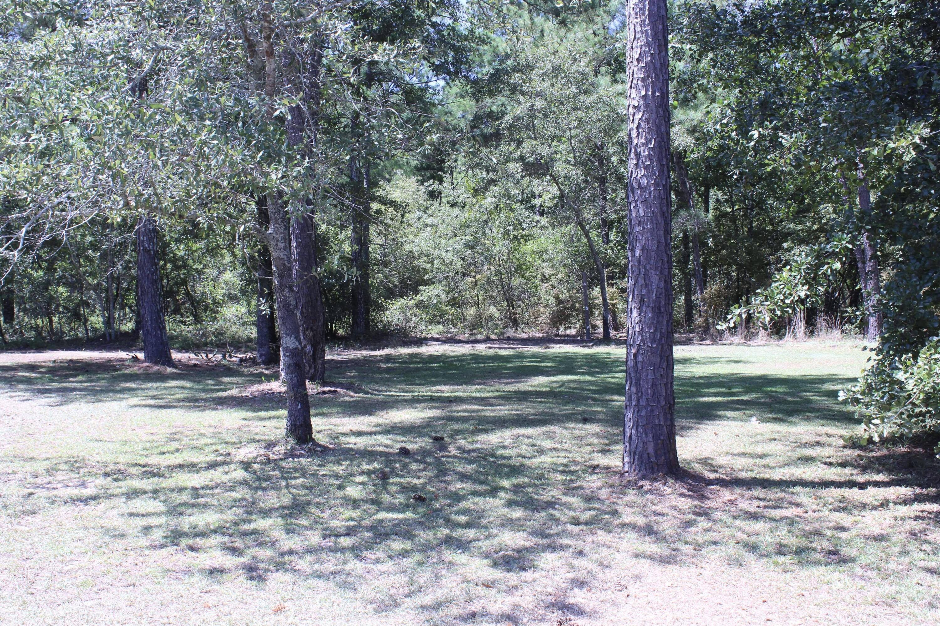 292 Sunnybrooke Road Trenton, SC 29847 - Photo 18 of 21