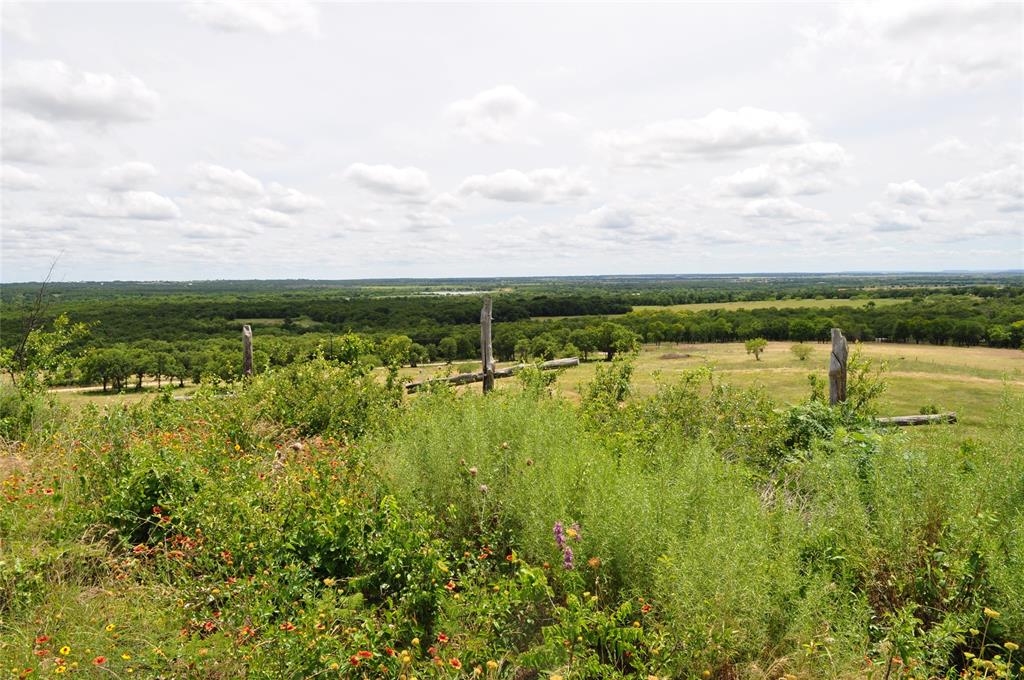1849 2 Bush Road Perrin, TX 76486 - Photo 22 of 40