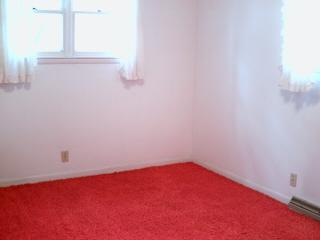 1521 Charlotte Landing Road Springport, MI 49284 - Photo 6 of 12 Additional Photo