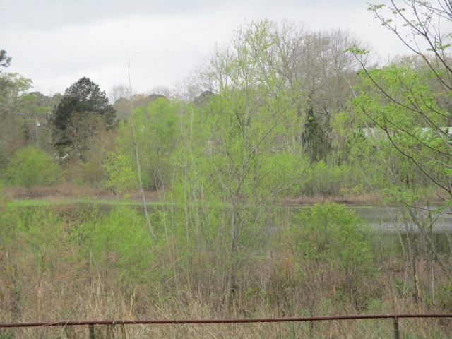 1815 Turtle Road Byram, MS 39272 - Photo 13 of 13 Photo 13