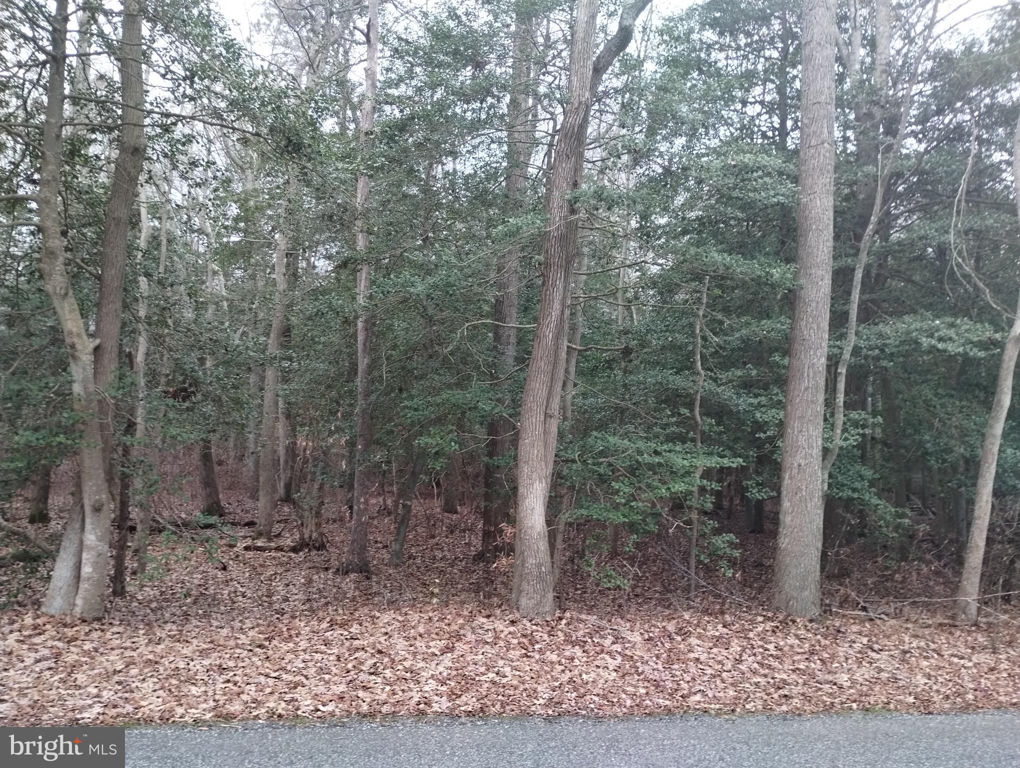 0 Menhaden Road Heislerville, NJ 08324 - Photo 1 of 2 Gallery Image 1