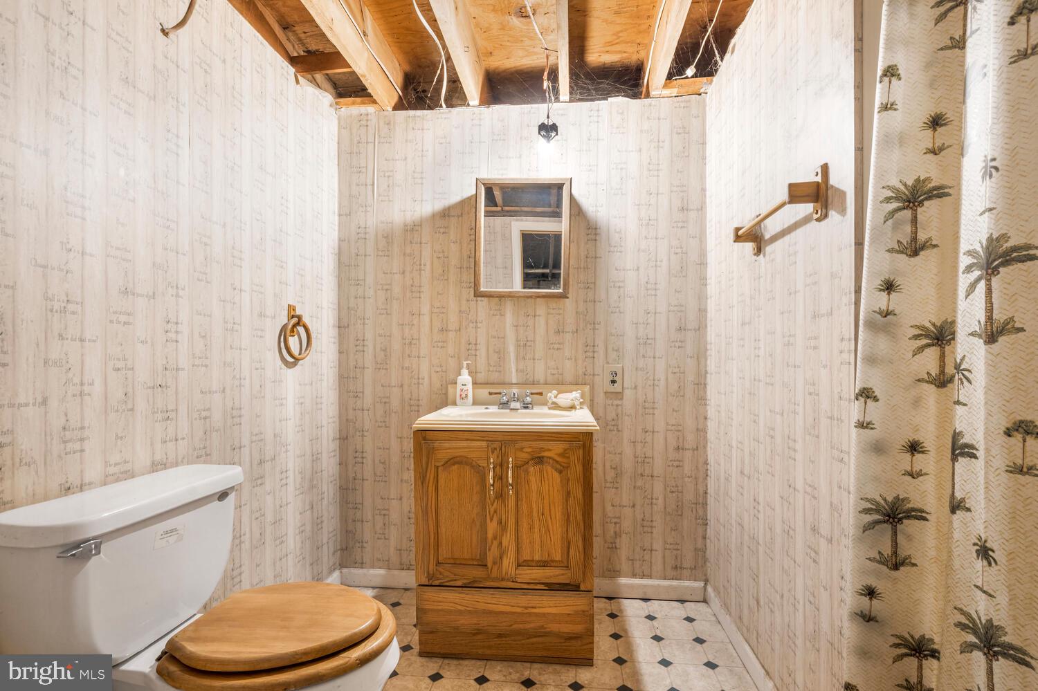 1464 Chestnut Ridge Road Upper Black Eddy, PA 18972 - Photo 18 of 32 Lower level full bathroom