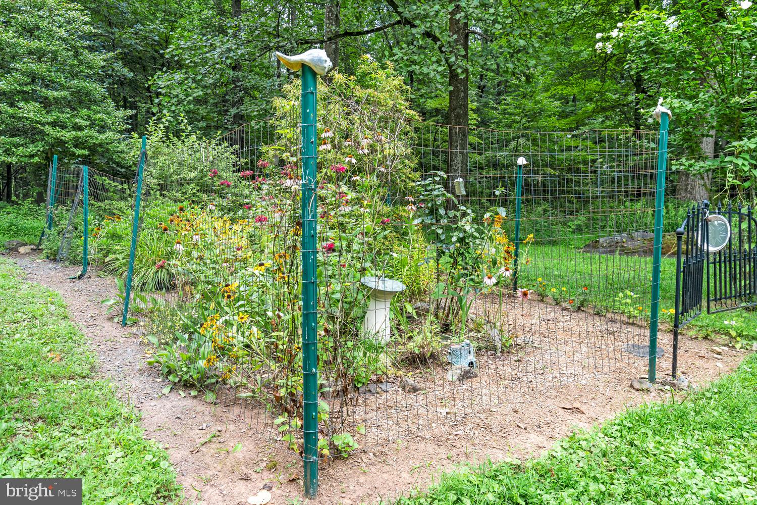 1464 Chestnut Ridge Road Upper Black Eddy, PA 18972 - Photo 20 of 32 Garden and beautiful trees on the property