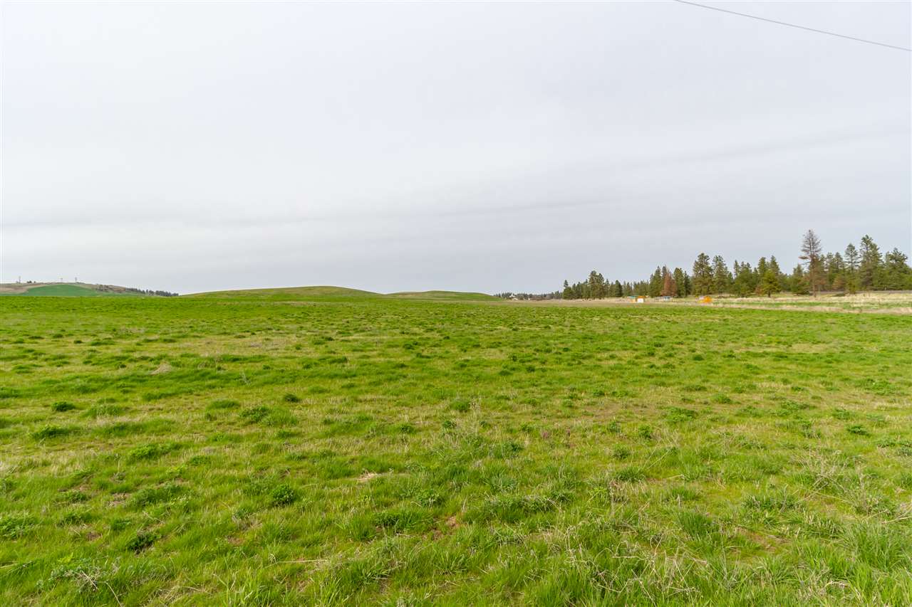 Lot 1 West Washington Road Cheney, WA 99004 - Photo 4 of 17